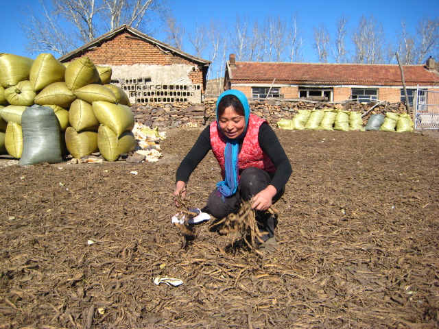 中药材种植_中药材种植收入(3)