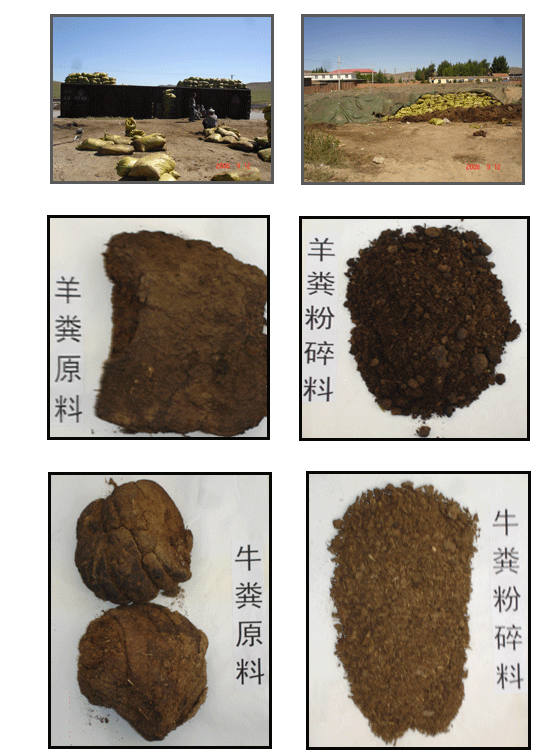 [供]长期供应羊粪,牛粪